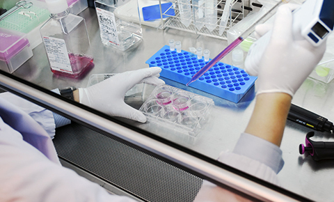  株式会社 Triplex Therapeutics