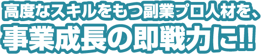 高度なスキルをもつ副業プロ人材を、事業成長の即戦力に!!